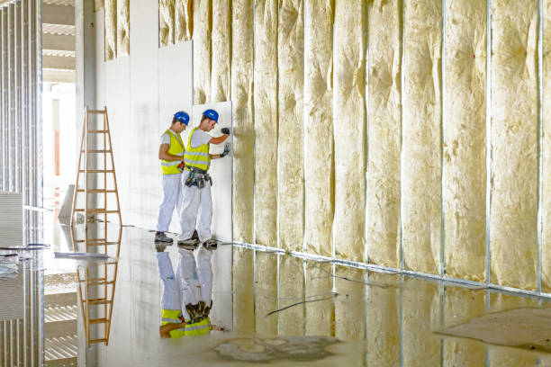 Best Insulation Installation Services in Agency Village, SD